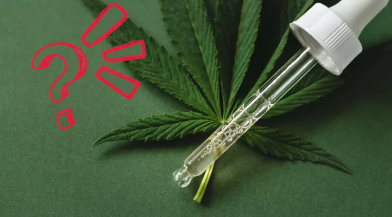 Union Chill Not All Cannabis is Created Equally Featured Image