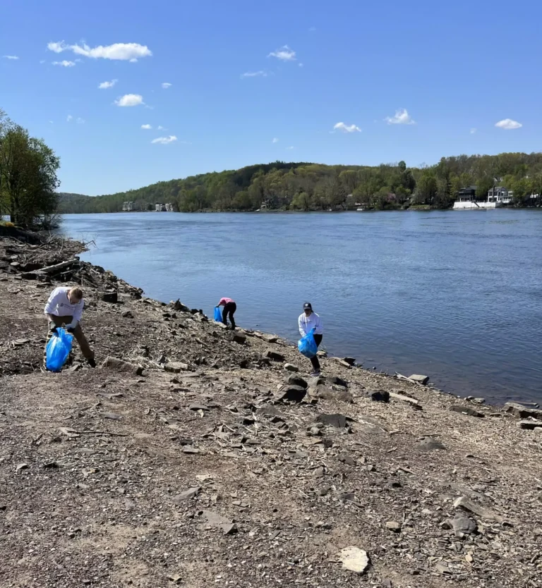 Union Chill Lambertville Clean-Up Featured Image