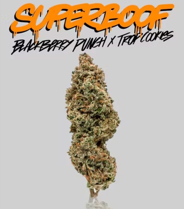 superboof strain at new jersey dispensaries