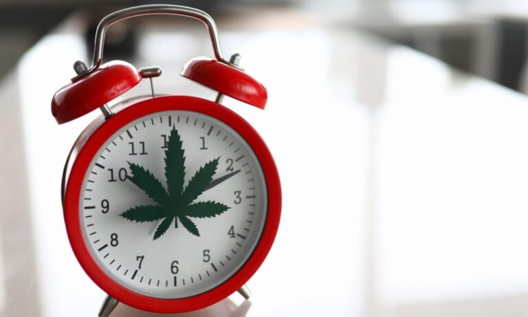 guide to a tolerance break lambertville dispensary